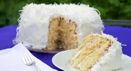 Bolo de Coco Gelado Fácil de Fazer. Faça Ainda Hoje