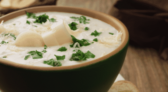 Sopa de creme de palmito com brócolis extremamente deliciosa e fácil confira