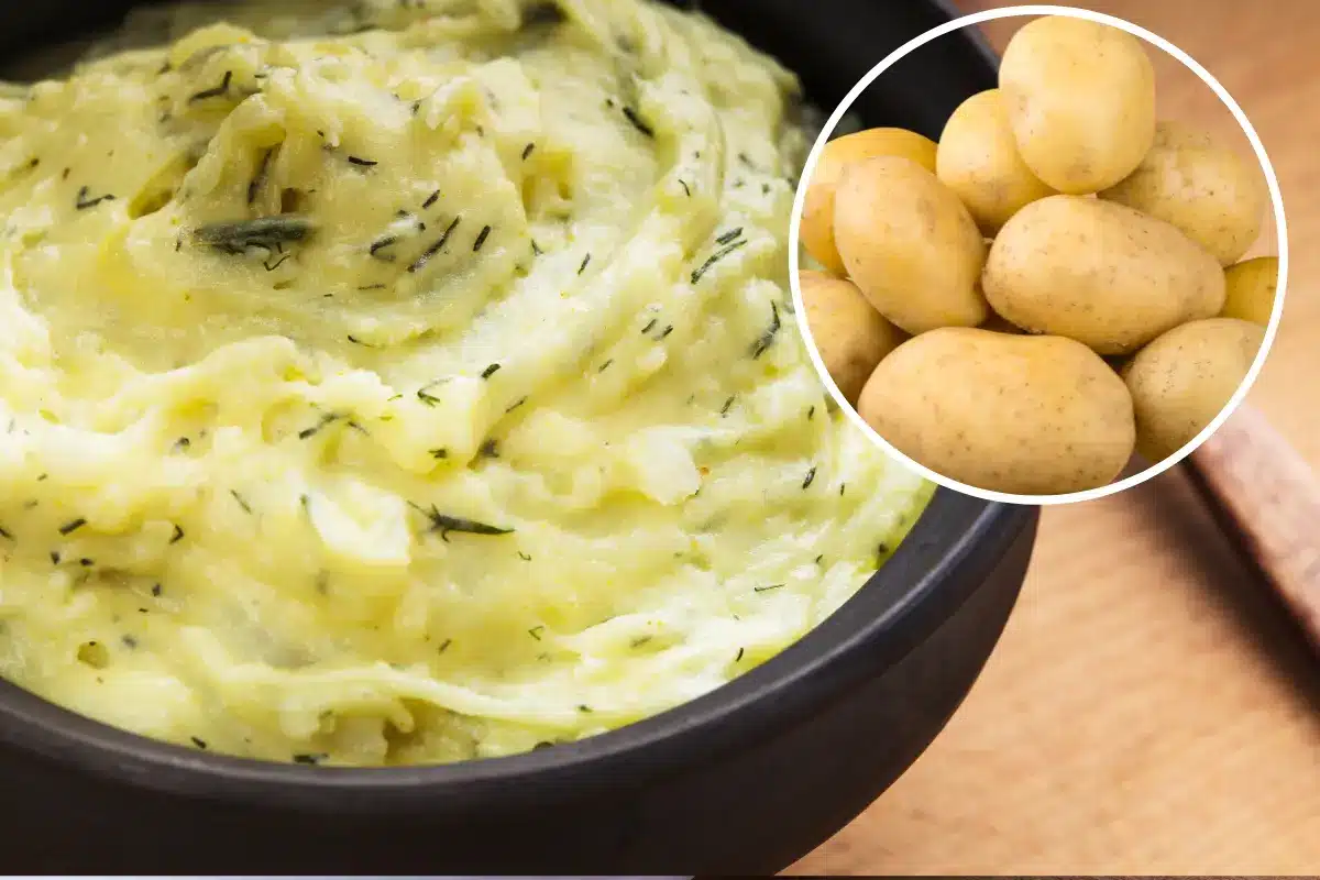 O Segredo do Purê de Batata Perfeito: Maciez e Sabor em Cada Garfada