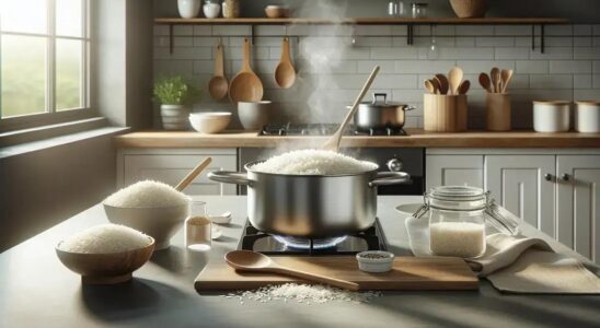 Como Cozinhar Arroz Perfeito: Dicas Infalíveis para Iniciantes